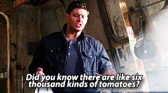 trendylittlefuck:  When I get married, I wont settle of anything less than a Dean Winchester