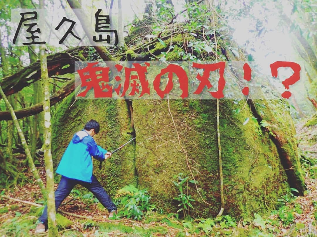 屋久島ガイド 島あそび 屋久島ガイド 島あそび