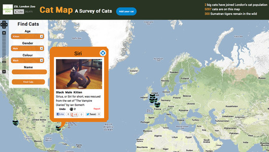 London Zoo lets you put your cat on the map
The zoo hopes the interactive, searchable map will get people thinking about the plight of endangered big cats.