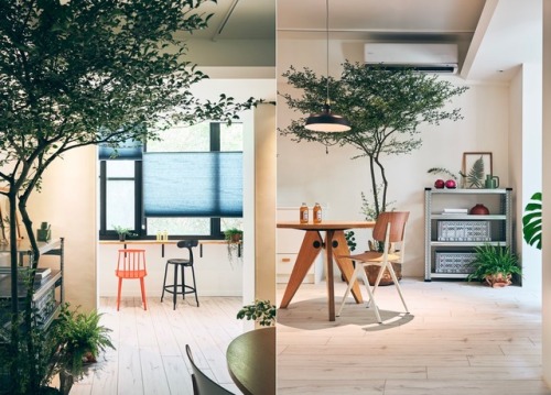 homedesigning:Bright Apartment With Clean White Decor, Wood Accents & Green Plants