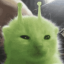 felipompom