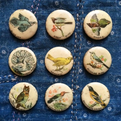 Sold the second-to-last antique bird pinback yesterday evening - Canary. There’s still one lef