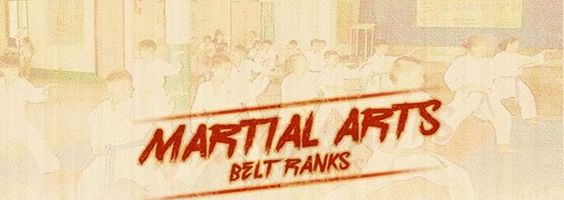 parkour-freerunning-feiyue: Martial Arts Belt Ranks~ follow back if you like it 