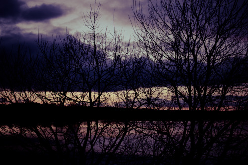 Purple sundown, 11/02/16