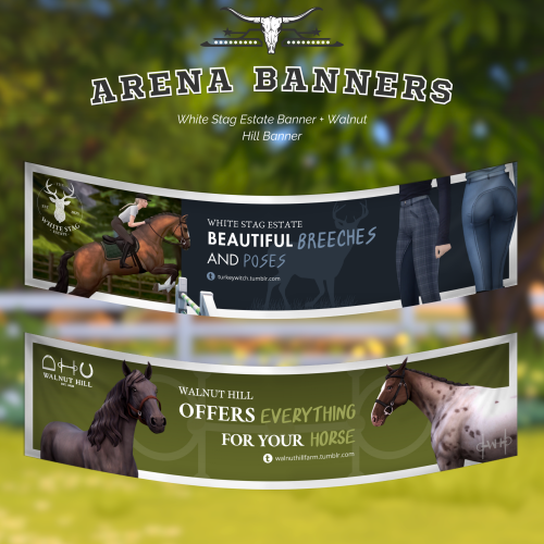 Hello Horsey Enthusiasts!