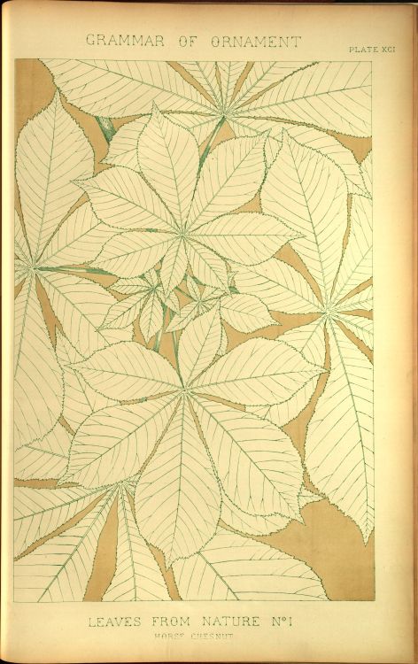 nobrashfestivity:    Owen Jones, Leaves,  examples from The Grammar of Ornament, 1856  more