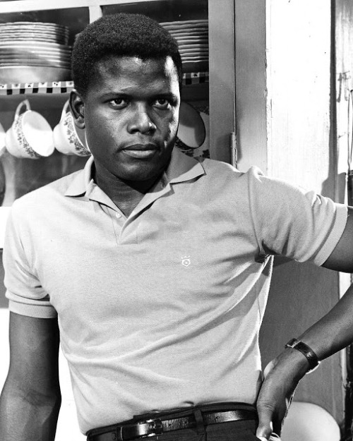 covergirlsanddancingcavaliers: Sidney Poitier, c.1950s