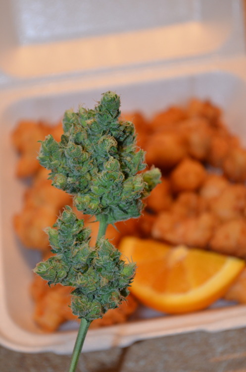 incredible-kush:  lunch time~         