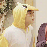 chaootic:  a wild duck appeared~ 🐥 