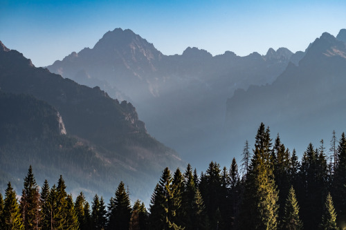 cmorga:Blue haze, Tatra MountainsNiebieska mgiełka, Tatry