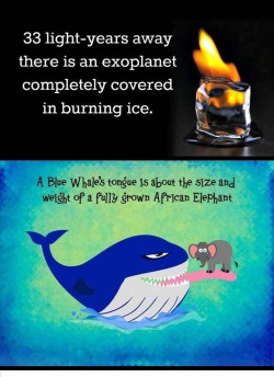 larryliberteastylinson:  extradan:  putuksstuff:  iraffiruse:  Frozach Submitted  I know new stuff now!!  It took me 3 minutes to learn an information I would learn in school for like 3 years  that fucking shark  Awesome science shit is awesome @___@