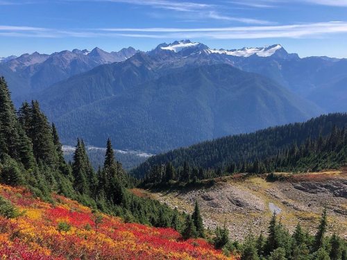 visitportangeles:  Beautiful fall views deep