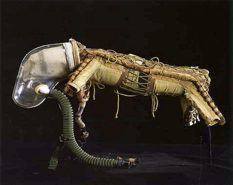 rocketumbl:  Space Dogs