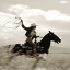 roamingcowboy