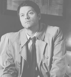 allthebeautifulthings9828:   I will stop reblogging it when it stops being accurate as fuck. 