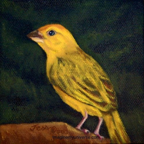 The third painting in my Orange Fronted Yellow Finch series. I did three miniature paintings of thes