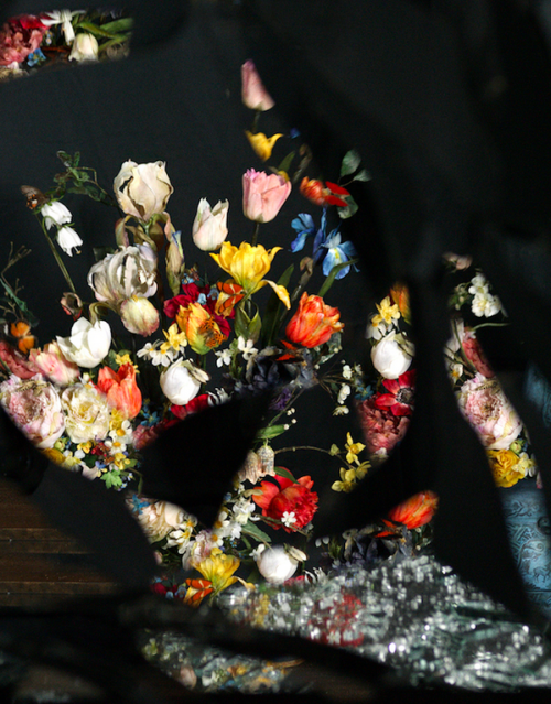 kateoplis:  Broken Flowers, Ori Gersht 