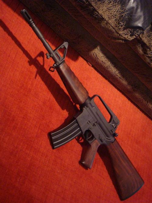 optimisticallyapocalyptic:If I were to ever get an AR, it would look something like this.