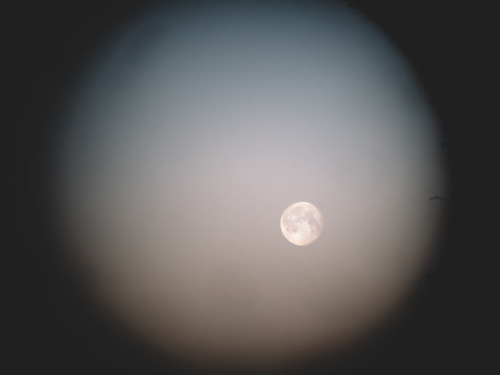 Moon at sunrise, Inner Hebrides, Scotland