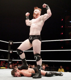 fishbulbsuplex:Sheamus vs. Finn Balor