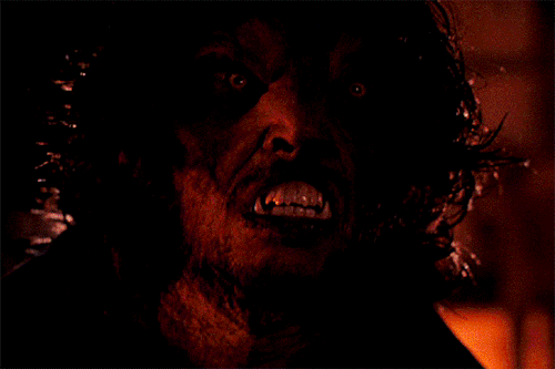 Even A Man Who Is Pure In Heart And Says His Prayers By Night, May Become A Wolf When The Wolfbane Blooms