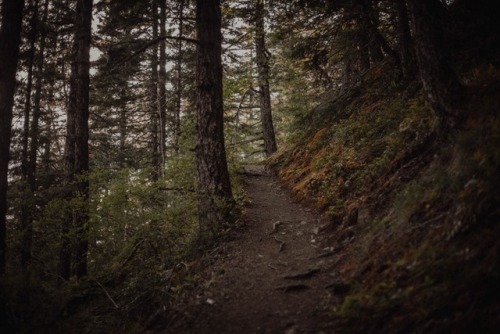 withoutroots:olympic national park: 76