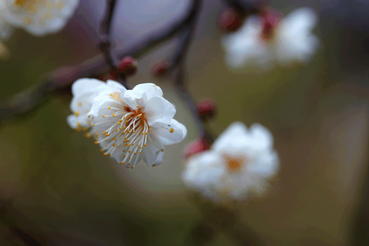 大宮第二公園tumblr Posts Tumbral Com