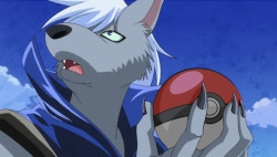 Even Wolfrun is taken in by Pokemon these