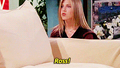 friends gifs
