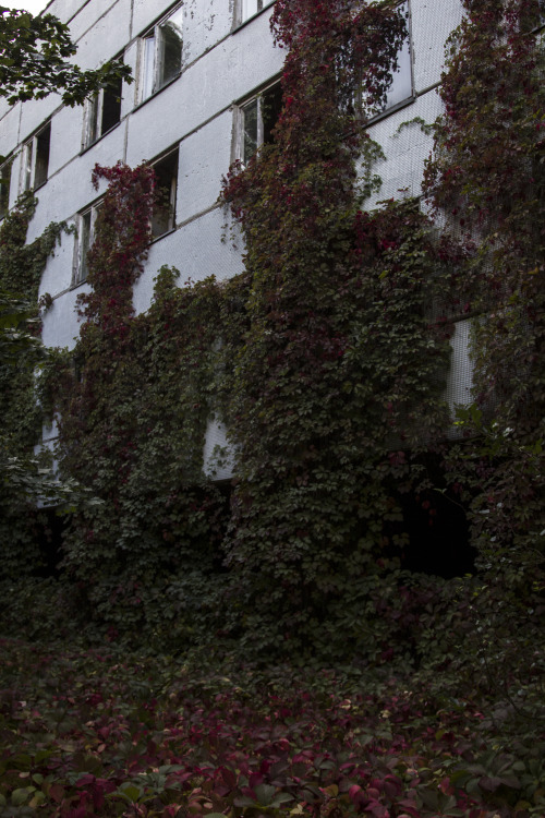 sovietgoner:Engagement XIX.Anomalous field located in Pripyat, Ukraine.