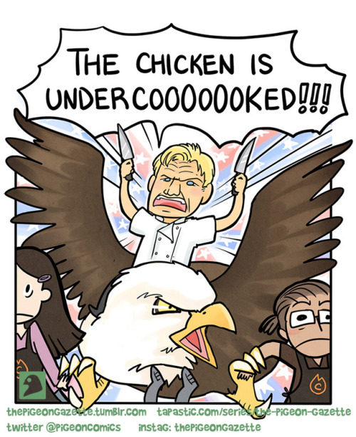 thepigeongazette:‘murica!!!!    Happy (early) 4th of July :) P.S.: I know Gordo