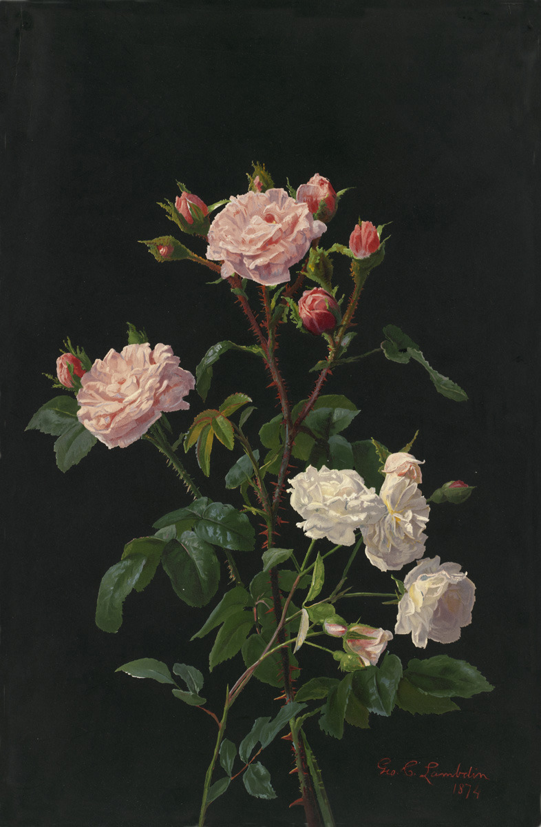 art-and-things-of-beauty: George Cochran Lambdin (1830-1896)  -  Roses, 1874.