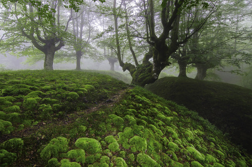 BURBUJAS VERDES II (EXPLORE) by JUANVEL