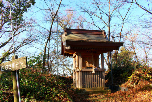 20171203（日,sun.）いつもの文殊山へモントレ（文殊山で山登りトレーニング）＆紅葉見物。ルイボスレモンのハーブティを3COINSのクリアボトルに入れ、おやつには無印の「レーズンヨーグルトチョ