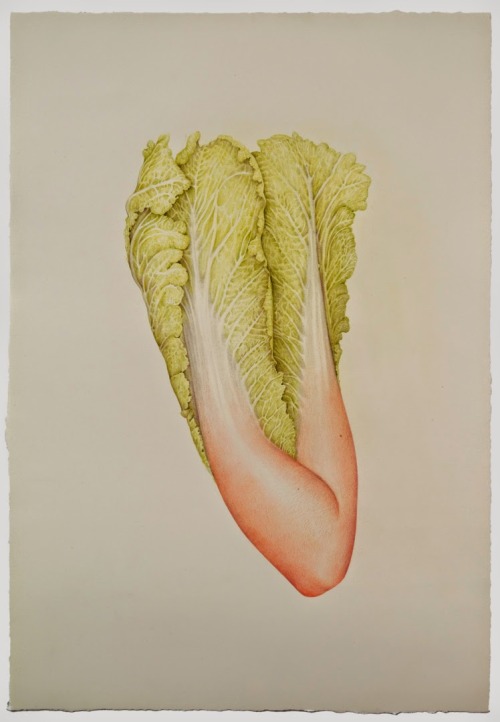 nevver:  Aurel Schmidt