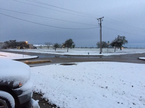 Of all the many things I thought I might see while I was in Texas, snow didn&rsquo;t even make t