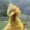 wall-anon2:All these low effort memes keep spilling out…..LIKE WÖTER