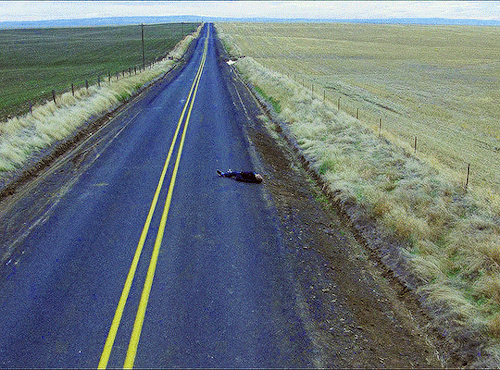 alfonso-cuarons: I’m a connoisseur of roads. I’ve been tasting roads my whole life. This road will never end. It probably goes all around the world. My Own Private Idaho (1991) dir. Gus Van Sant 