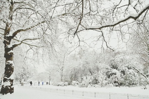 englishsnow:   by Paolo Camera   Trafalgar Square