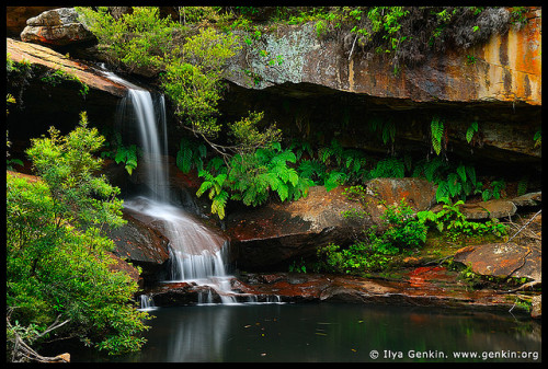 Upper Gledhill Falls, Ku-ring-gai Chase National Park, NSW, Australia by ILYA GENKIN / GENKIN.ORG on