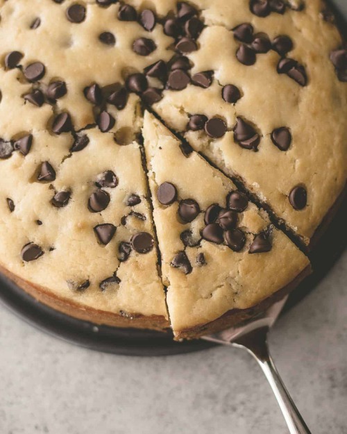 Chocolate Chip Ricotta Cake | Inquiring Chef