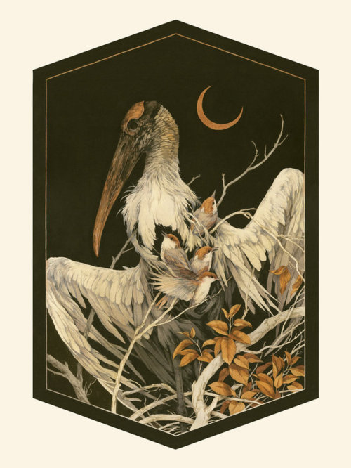 Silent Aviary II - Teagan White (2018)