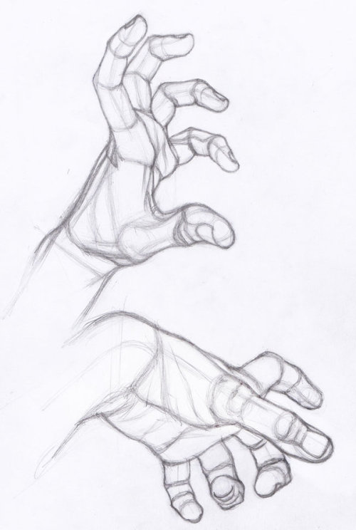 Sex anatoref:  Hand Studies  pictures