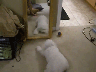 sizvideos:  Watch it in video Follow our Tumblr - Like us on Facebook 