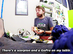 aaronmarquis:  RT Life - The Scorpion Prank  