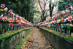 sixthseason:  »tanaka_suiko02 by Tokyo Sightseeing Photo Club« 