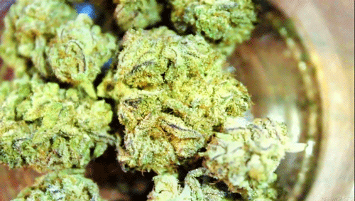 nsfwkryspie:  The rest of “Random Purp” 
