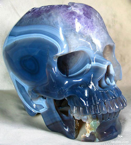 Porn Pics asylum-art-2:  Incredible skull was carved