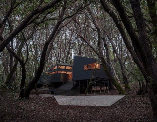 goodwoodwould: Good wood - nestled among tall trees in a forested area of Northern California, ‘The Forest House’ makes for a divine hideaway from the daily grind.