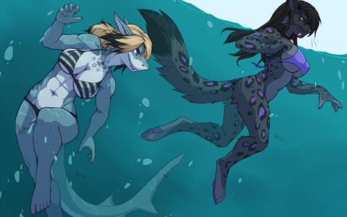 yiffcomicsblog: Yiff comic“Shark Pool“ by Wolfy Nail